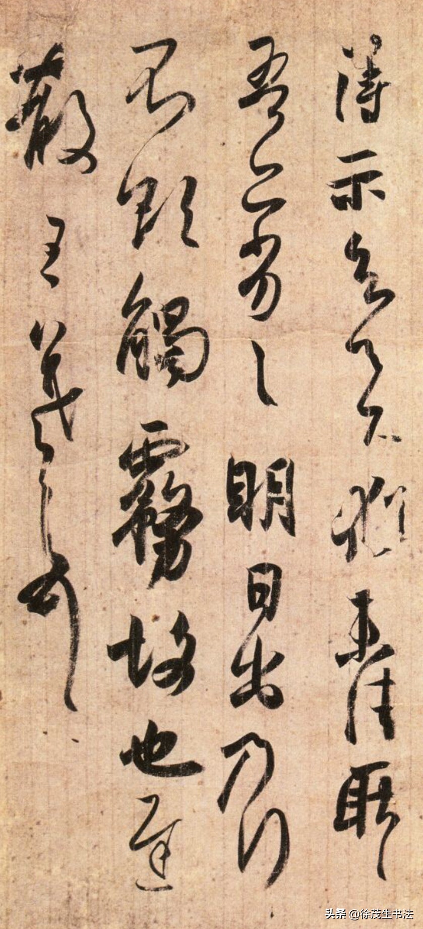 草书前先练什么字体好写