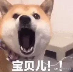 能不能分享一下你们喜欢的表情包？：大家好表情包