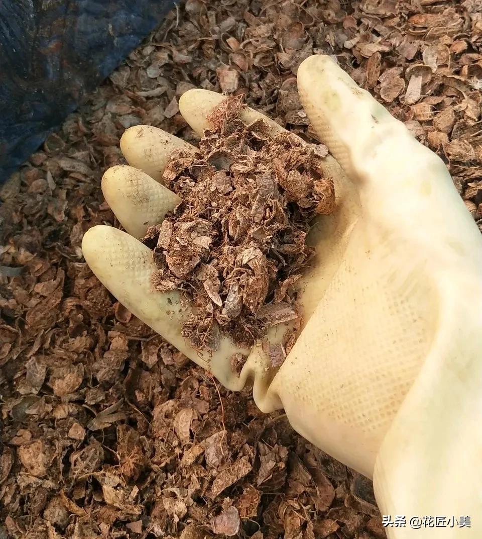 使用花生壳搭建网站