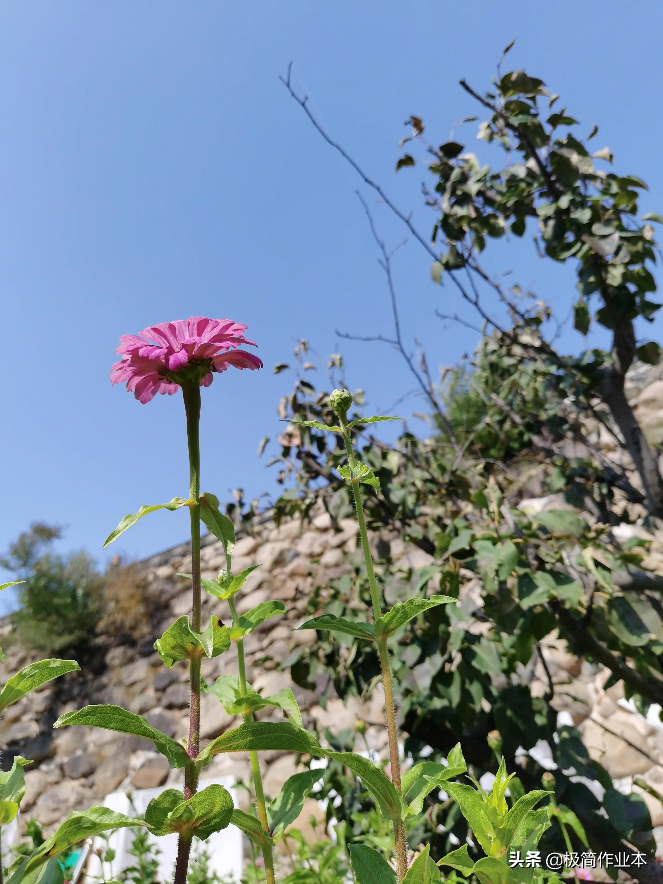 庆祝建党100周年内容?:党的图片 庆祝建党100周年内容?:党的图片