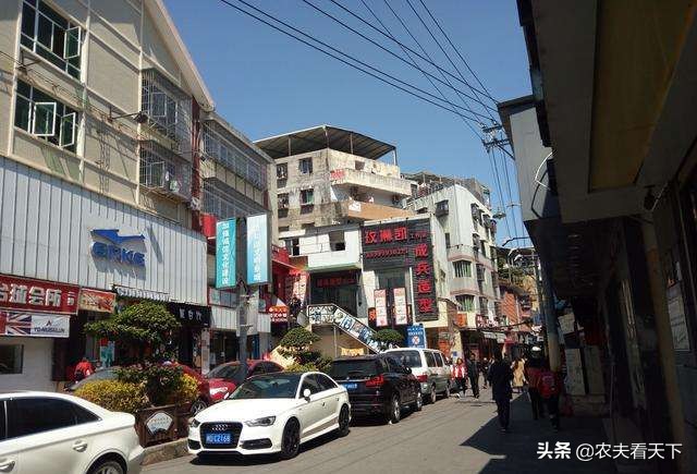 厦门市能做什么生意