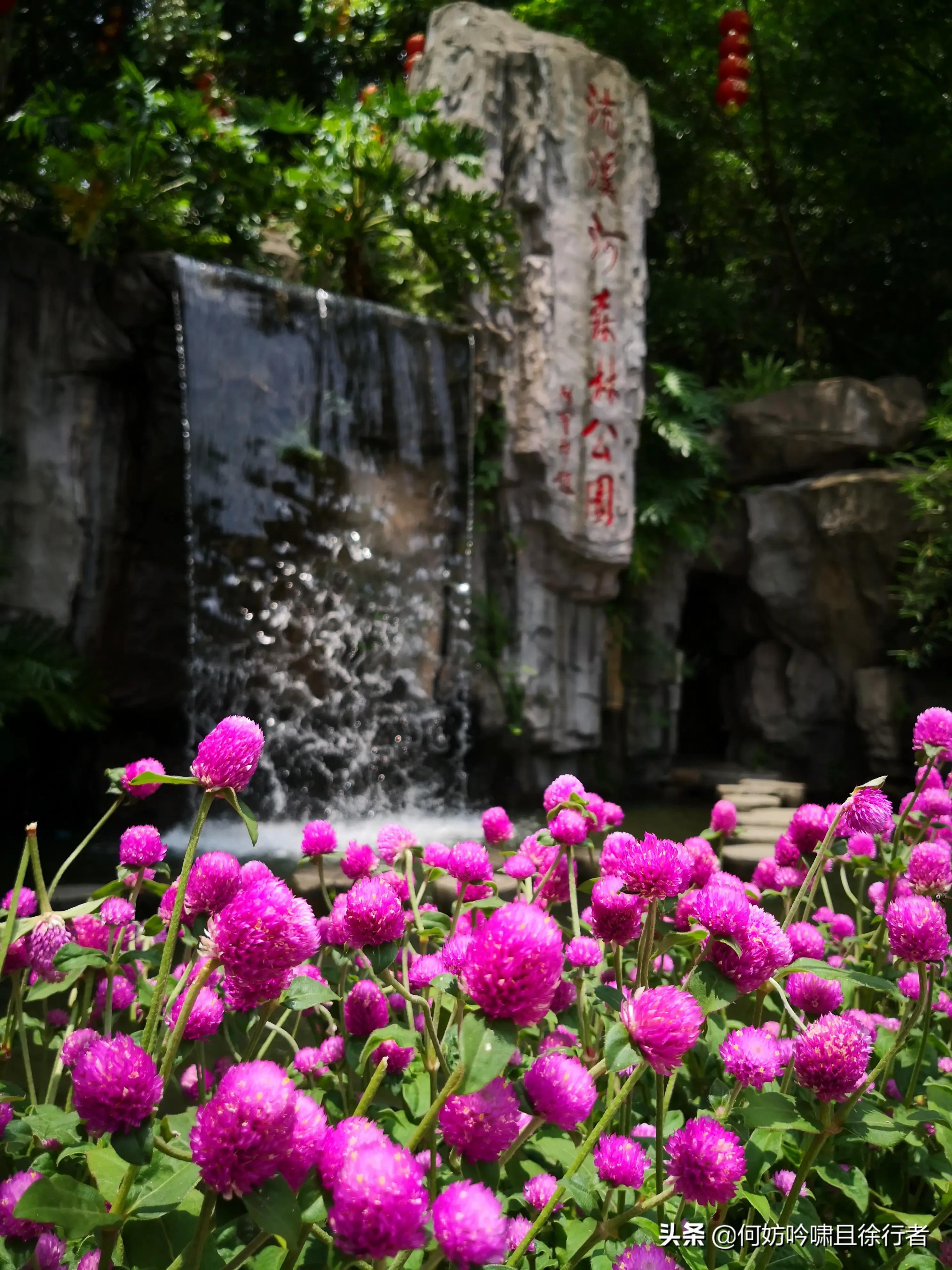 广州市流溪河是什么