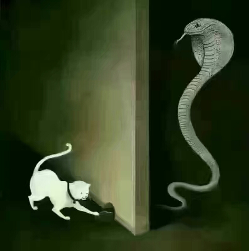 怎样克服好色心理啊？：好se