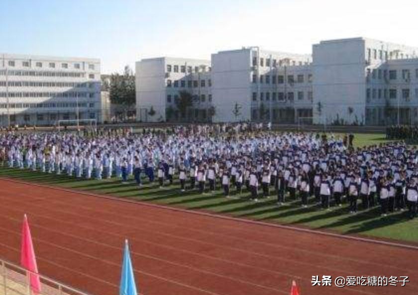 河南新增病例是哪个区的