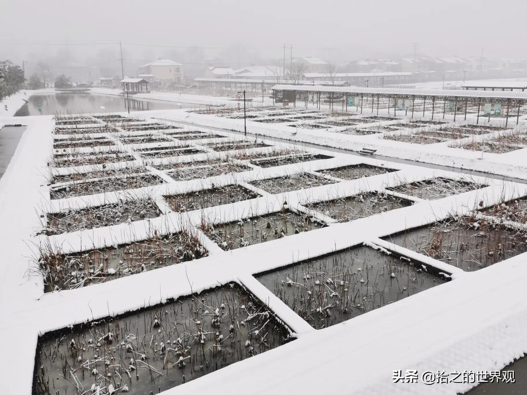 [nef是什么意思]nef概念是什么意思？