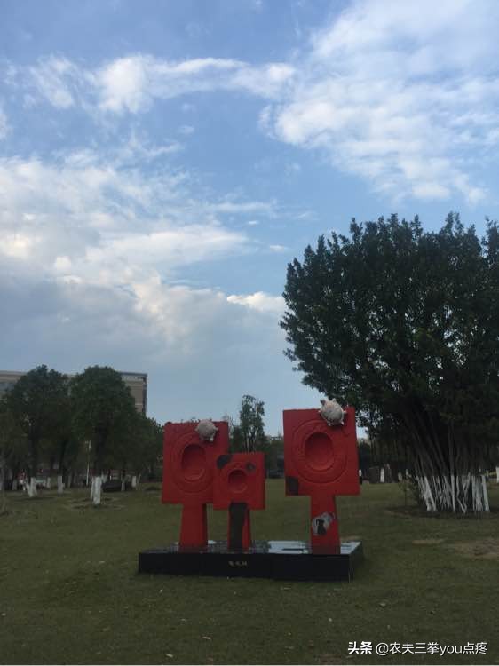 请问报考福州大学,你觉得以后在福州好就业吗? 请问报考福州大学,你觉得以后在福州好就业吗?