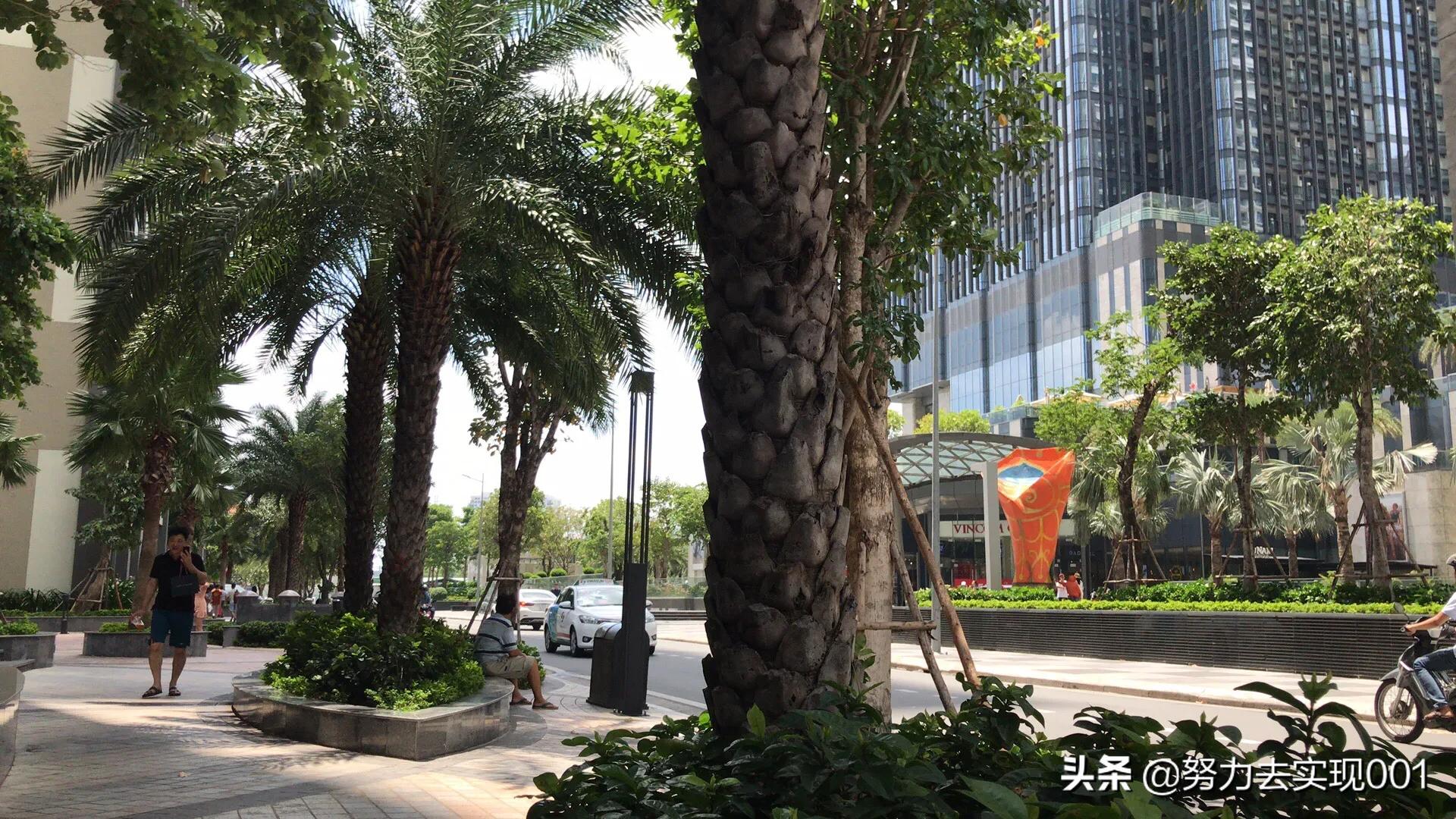 打工人海外生活视频素材，打工人海外生活视频素材下载