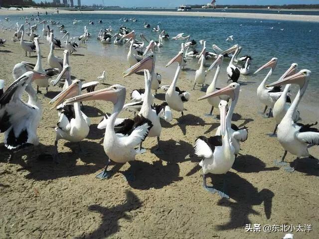 海外生活周末海边，国外海边生活