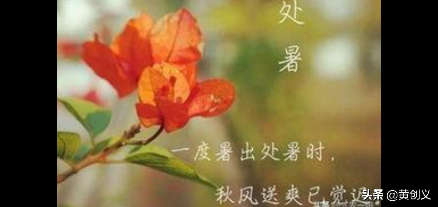 今天处暑今天处暑是几点几分