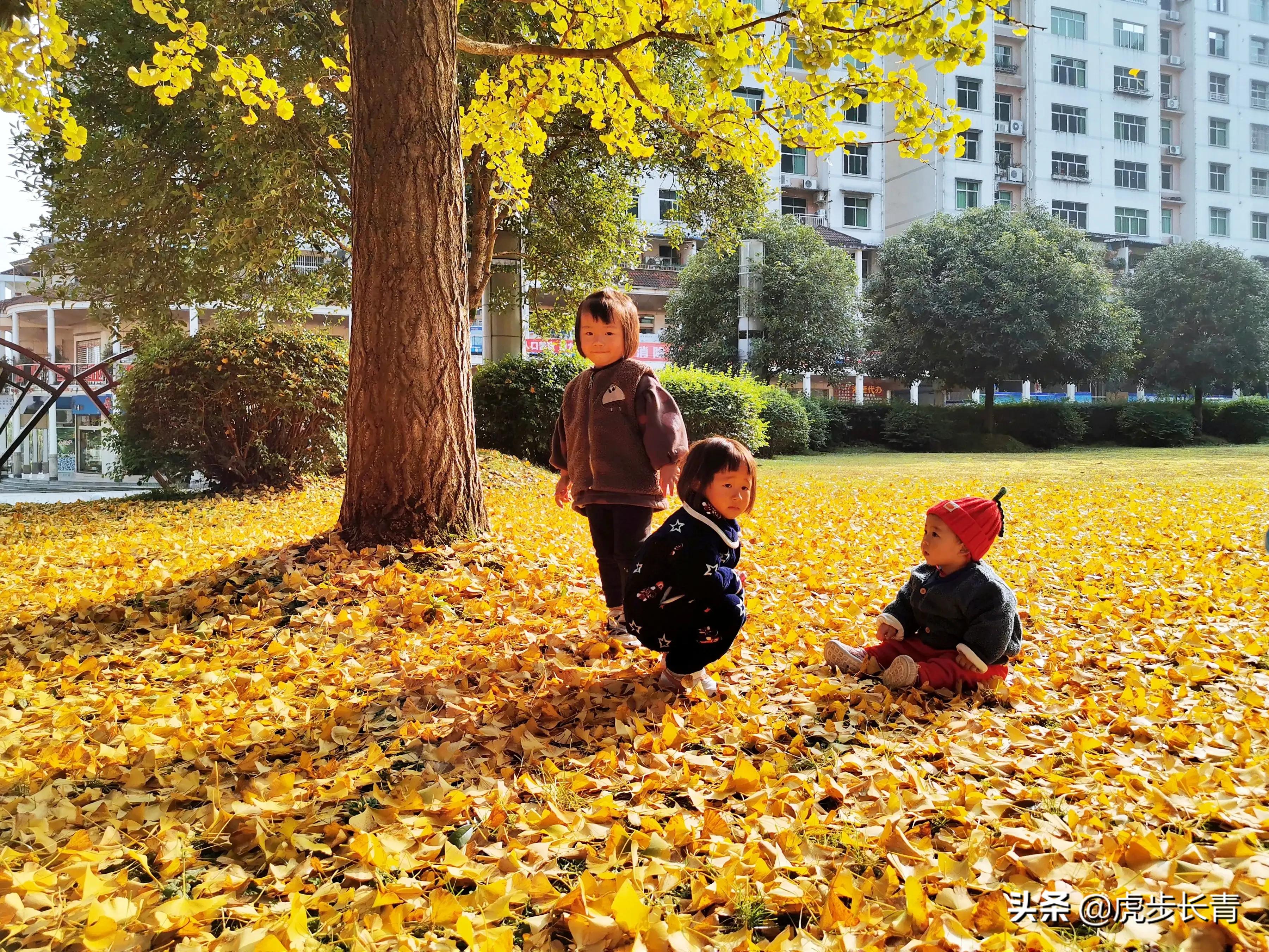 智能图像创作中心网站官网,请问大家写头条都在哪里找的图片呀?