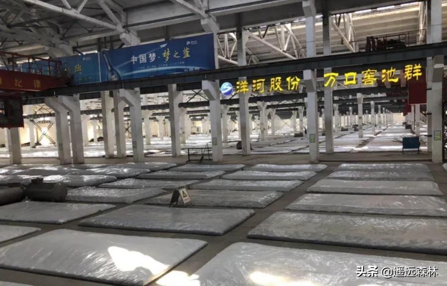 22年江苏汽车销量排行榜，22年江苏汽车销量排行榜最新