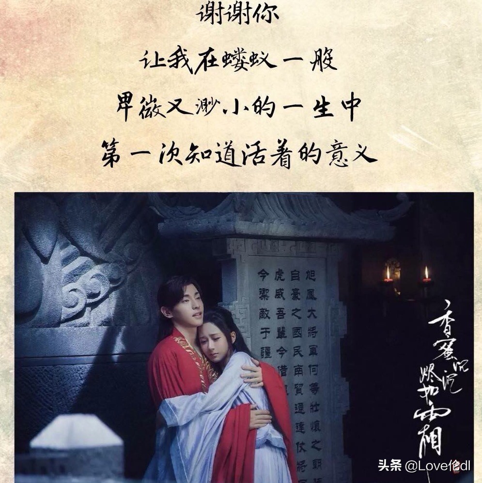 明星爆火是资本做局