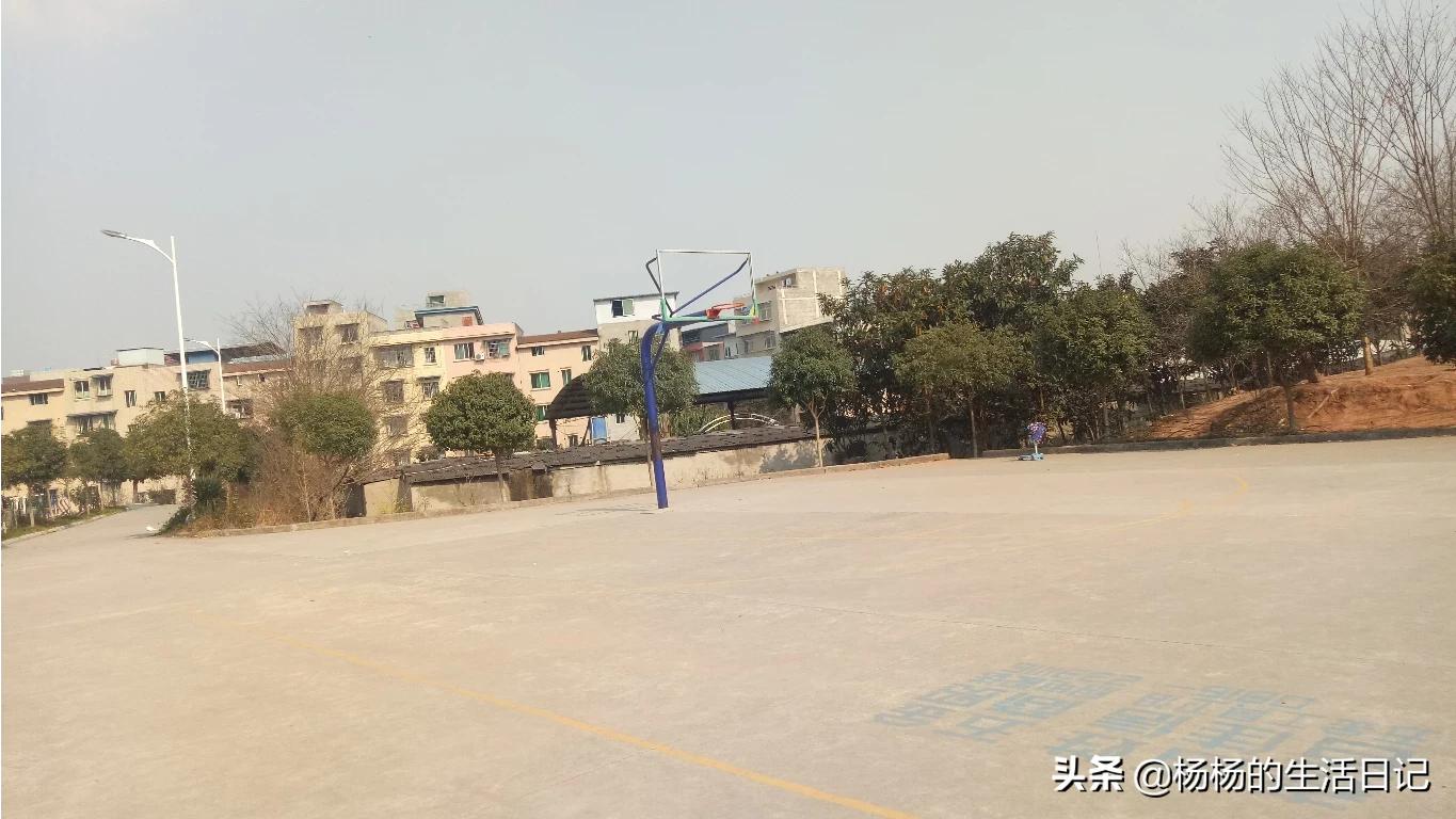 公司设厕所报备群