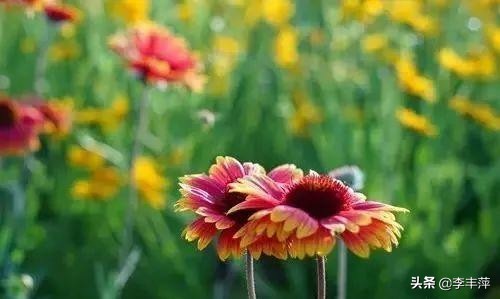 南宁市52中学怎么样