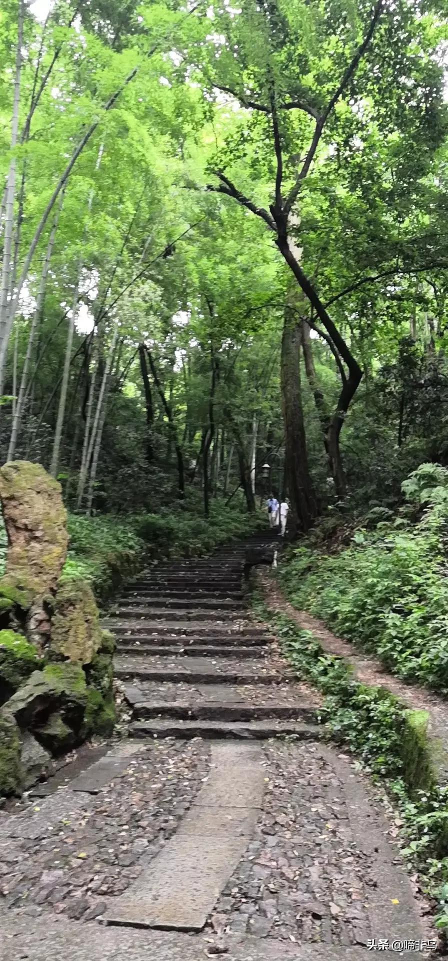 杭州市区有什么好玩的？