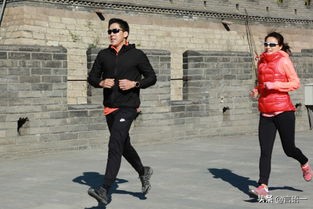 综艺我的海外生活，综艺我的海外生活小说