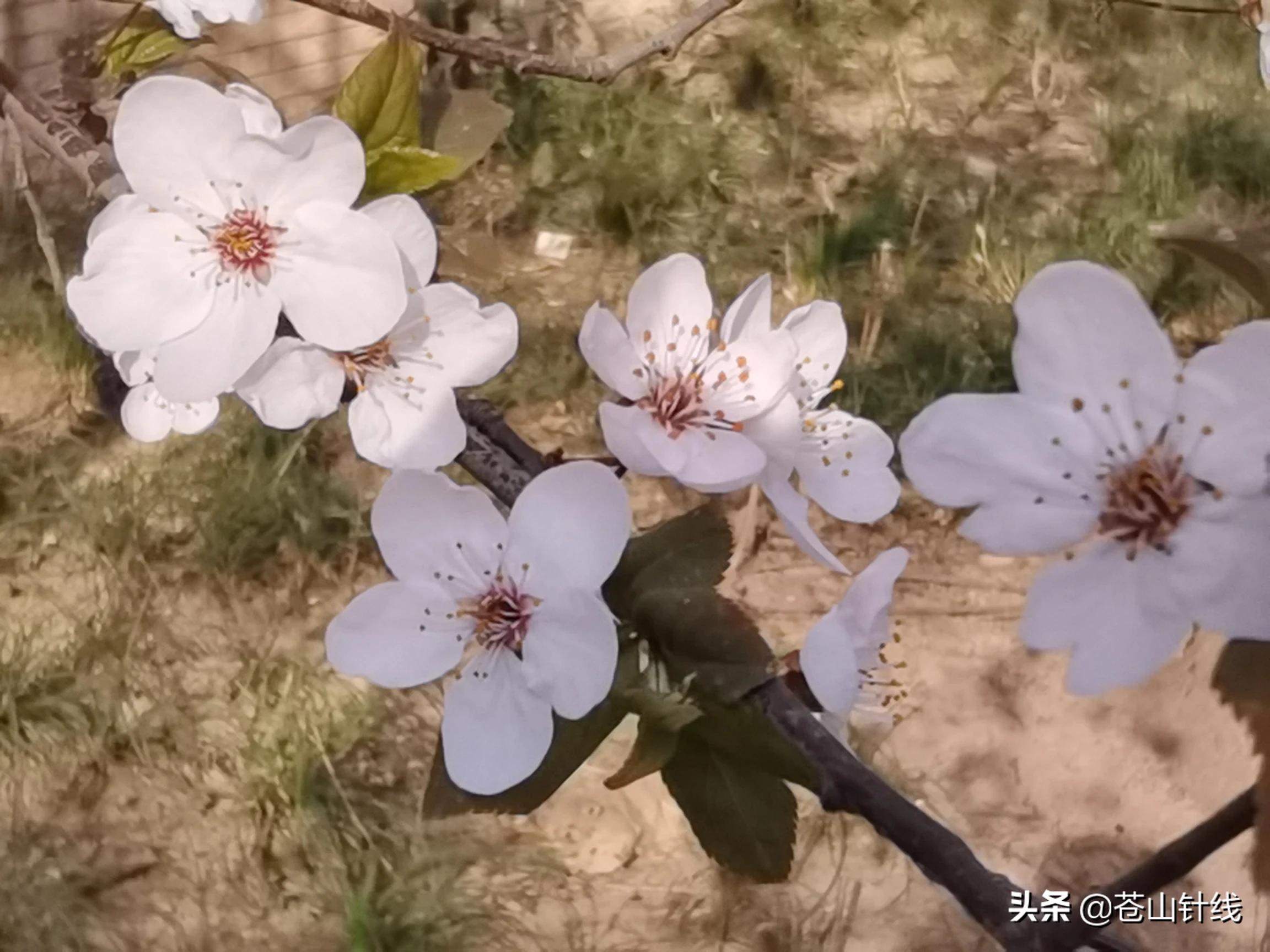 疫情有影响海外生活吗，疫情有影响海外生活吗现在