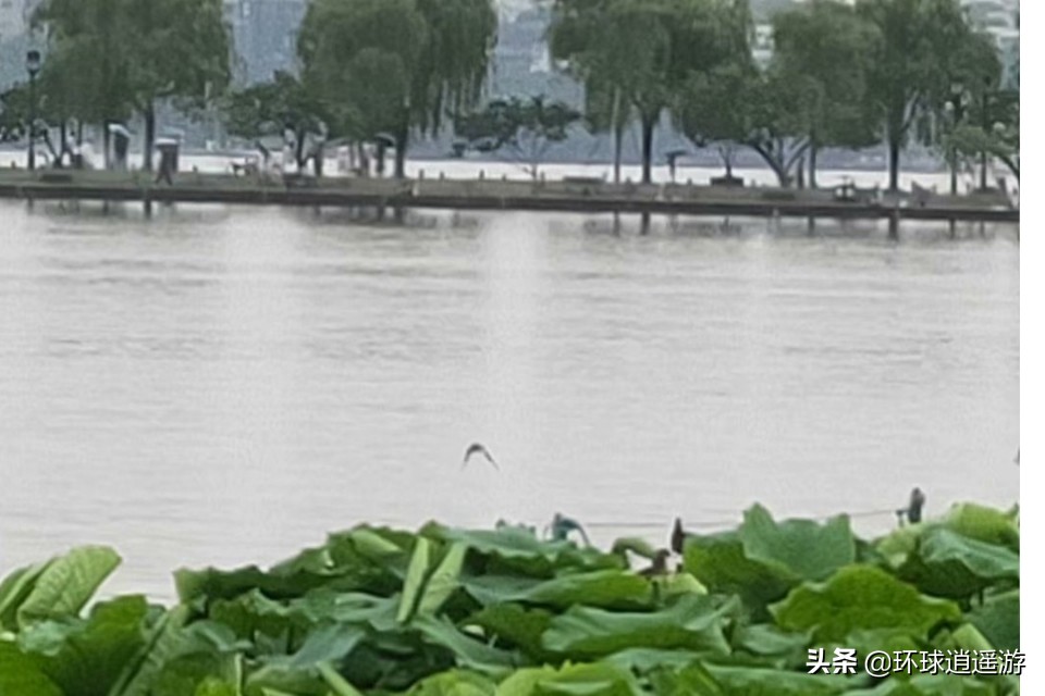 杭州市有什么景点值得去