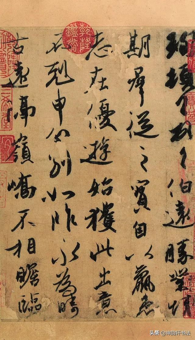 毛笔字体草书介绍大全