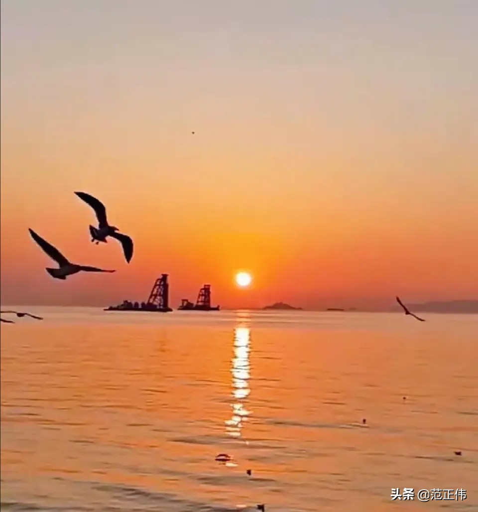 台州网络营销服务中心招聘,台州道通汽车销售服务有限公司介绍?