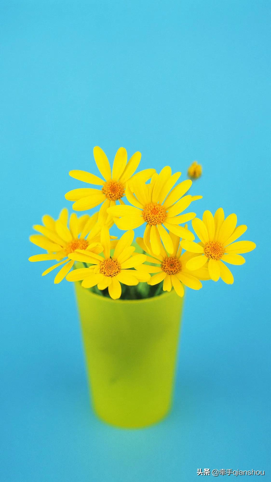 富足生活极具诱惑力，但财富等同于幸福吗？你怎么看？：极具诱惑