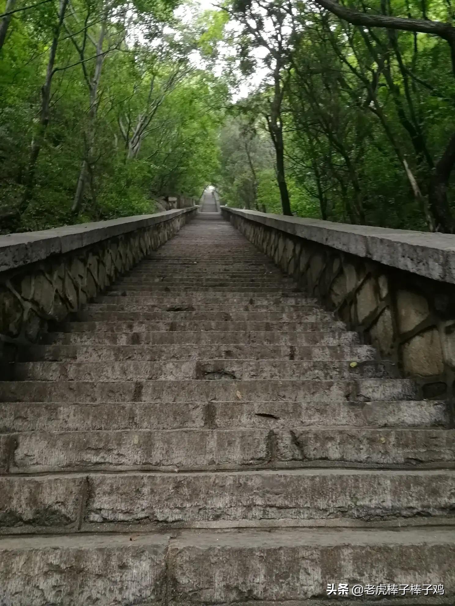 二手代步省心汽车报价,二手省油代步车排行榜