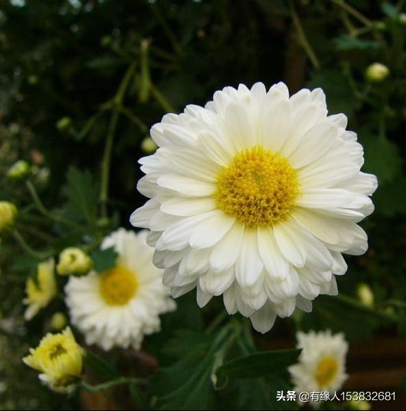 相片处理相片处理免费软件