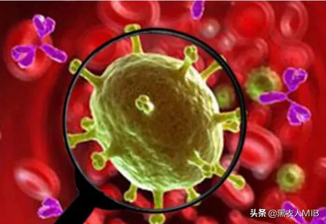 检测出病毒的安装包怎么安装？：病毒测试包