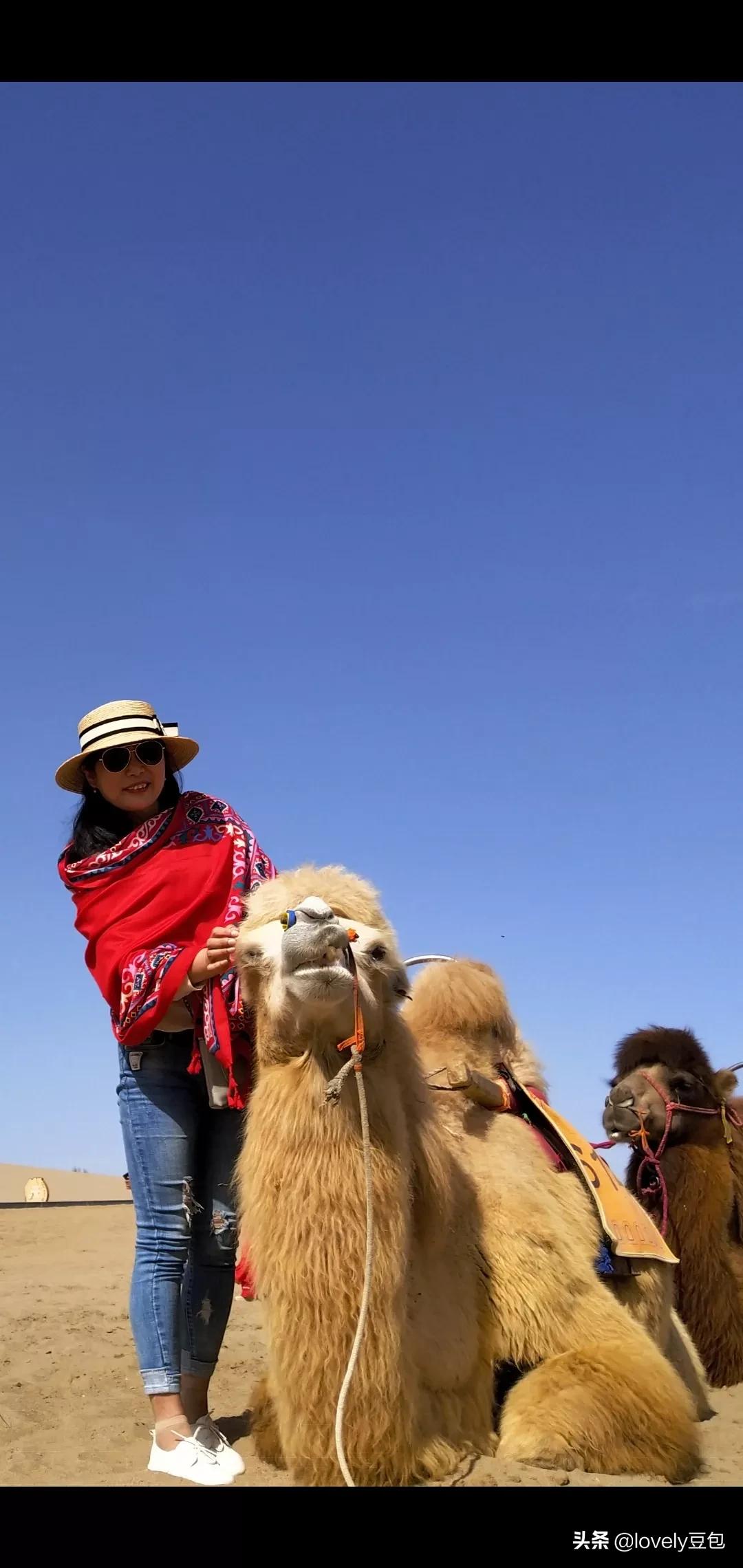 披肩围巾的最佳尺寸？：披肩围巾