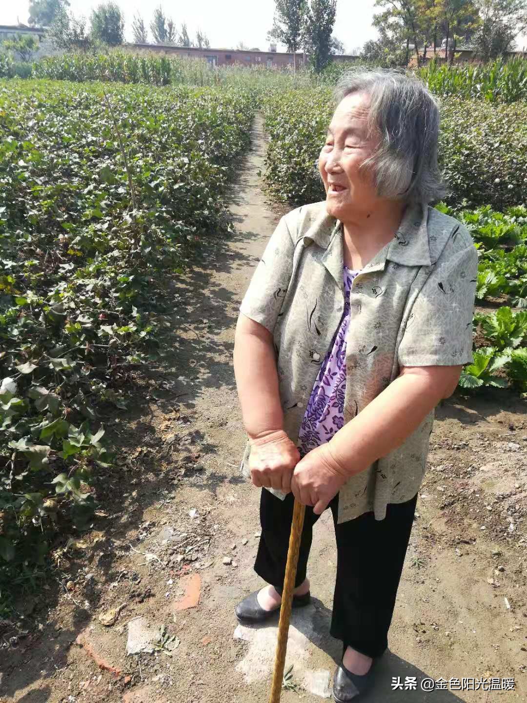 唐山下面的哪个县城好？
