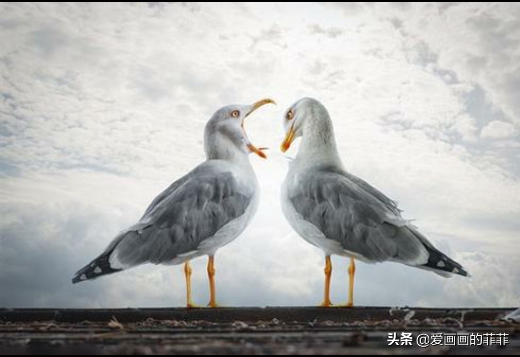 庆祝建党100周年内容？：党的图片