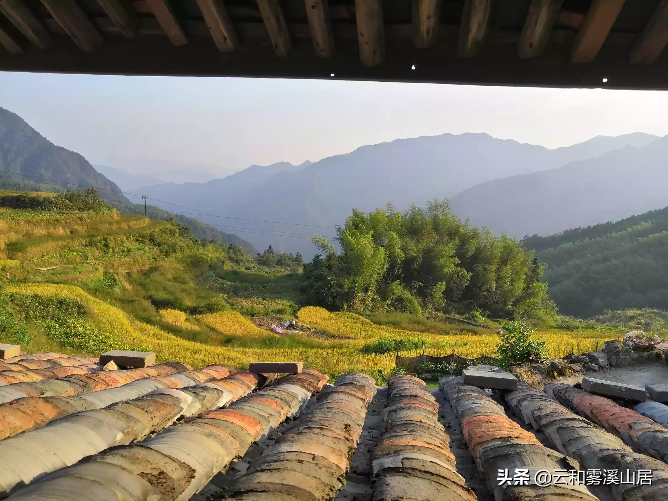 男子房产判给堂嫂男子房产判给堂嫂怎么办