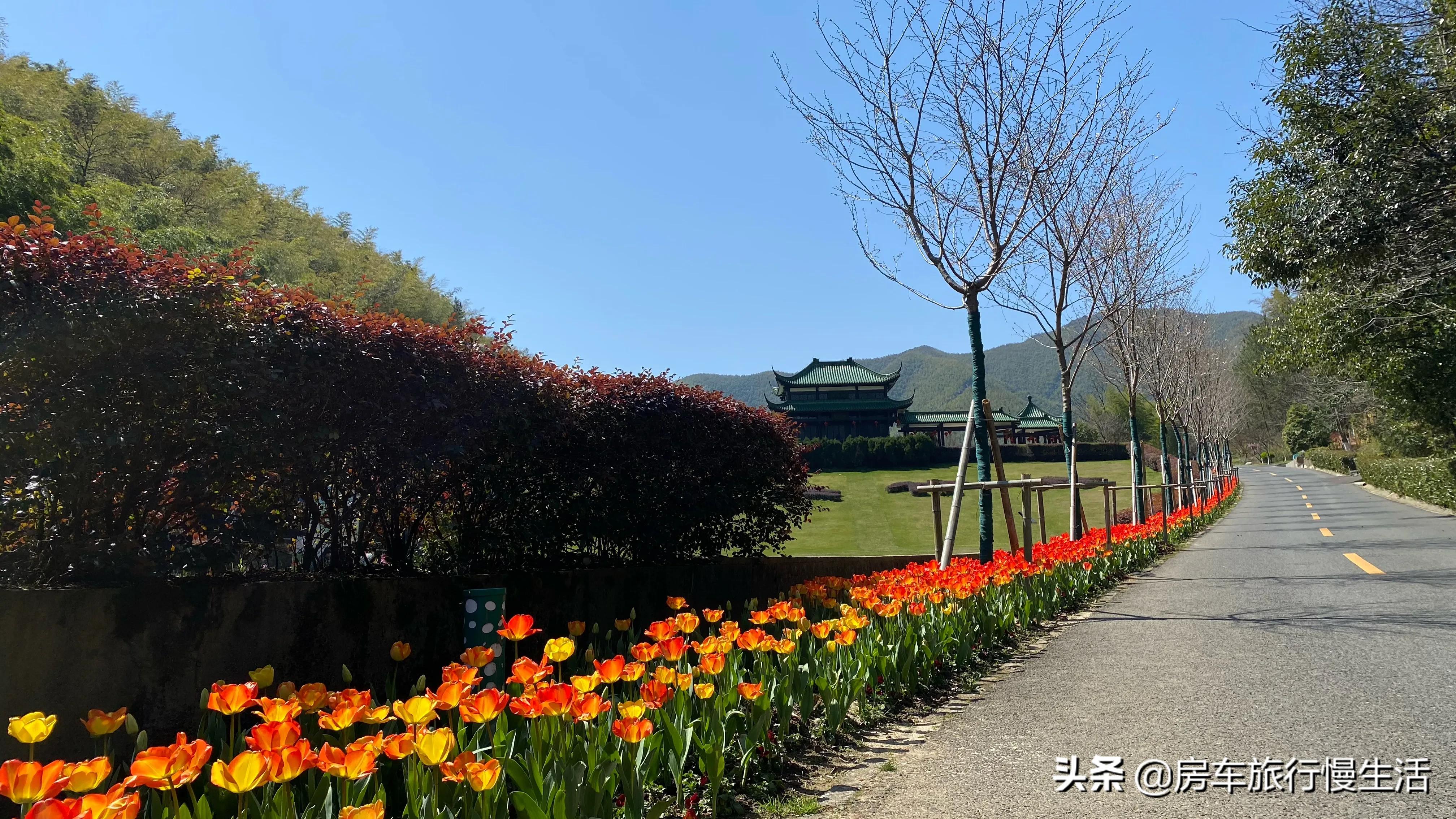 搭建网站计划的目的