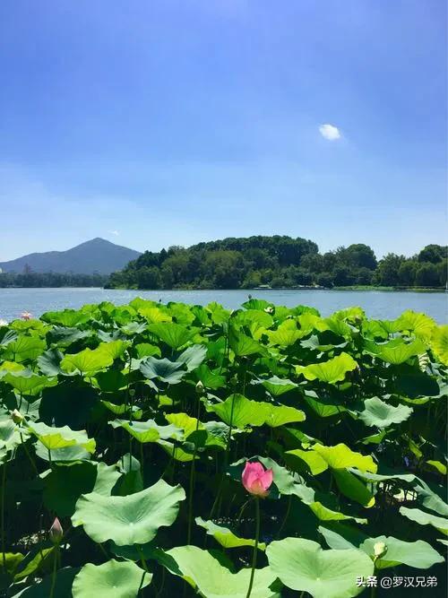 天津荷塘区发展怎么样