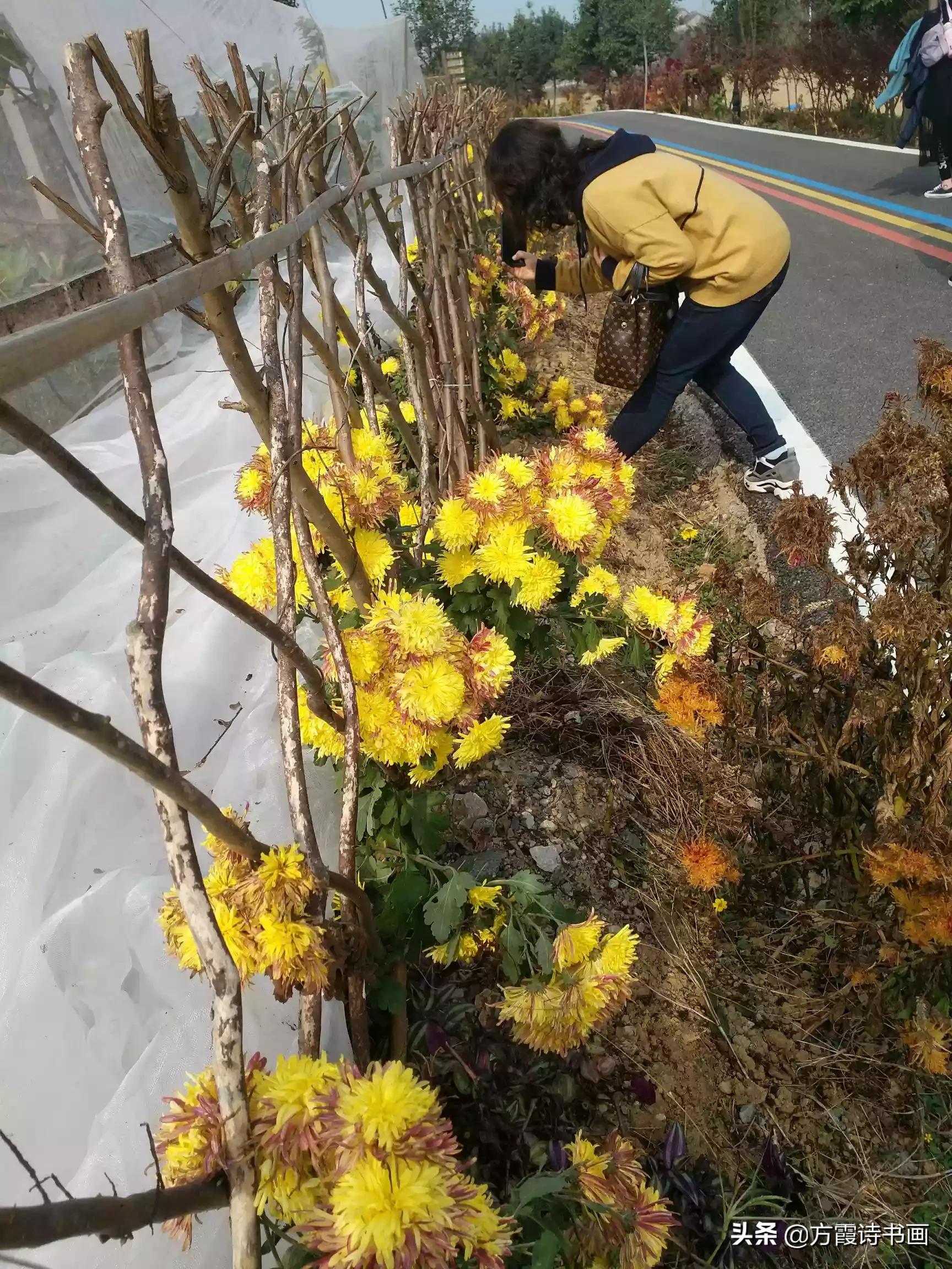 [弹窗广告]页面总是弹出各种广告怎么办？