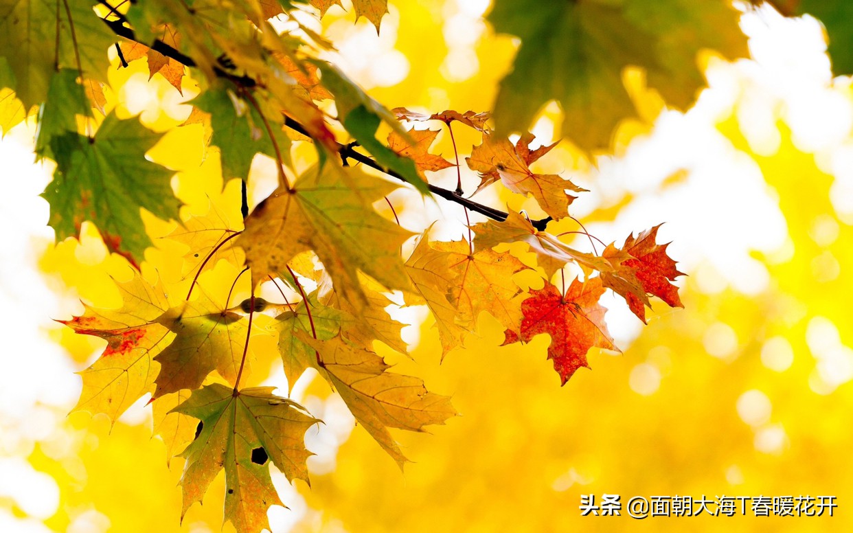 小日常(小日常什么意思?) 小日常(小日常什么意思?)