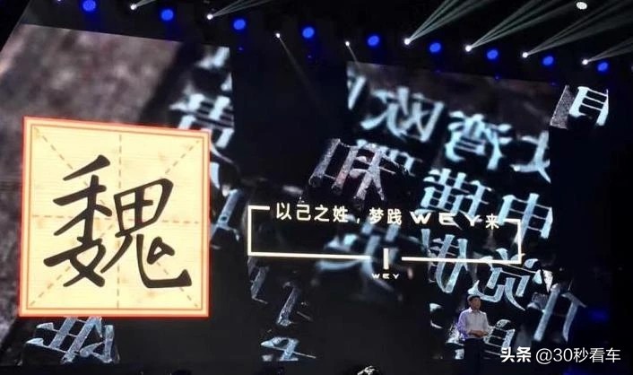 weysuv 汽车报价,weysuv汽车报价