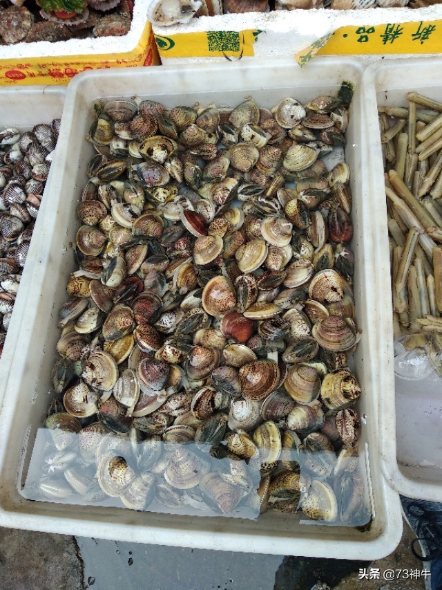 海外生活 抓海鲜视频，海外生活 抓海鲜视频大全