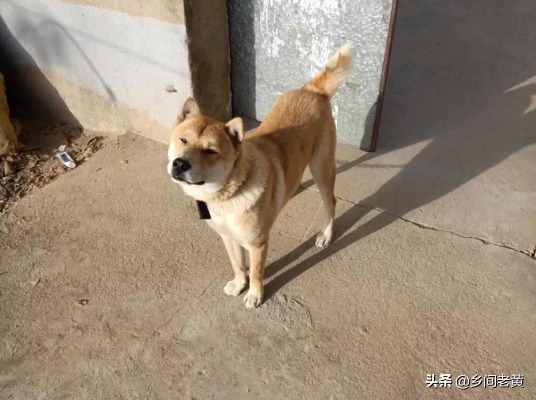 能把(人流完之后子宫里面还有2厘米的血块清宫能清干净吗?) 能把(人流完之后子宫里面还有2厘米的血块清宫能清干净吗?)