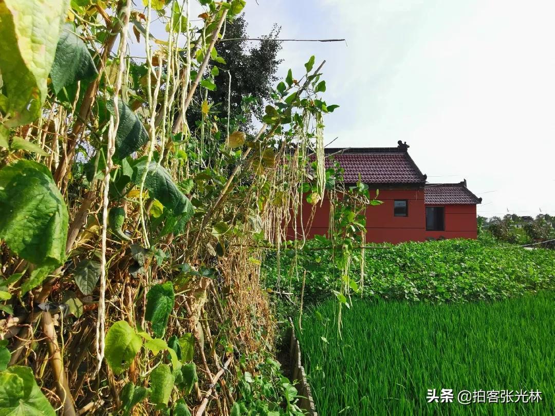 夏天的图片夏天的图片大自然风景
