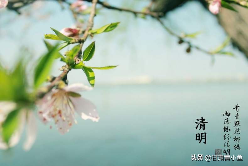 [清明节天气]今年清明节气温多少度？