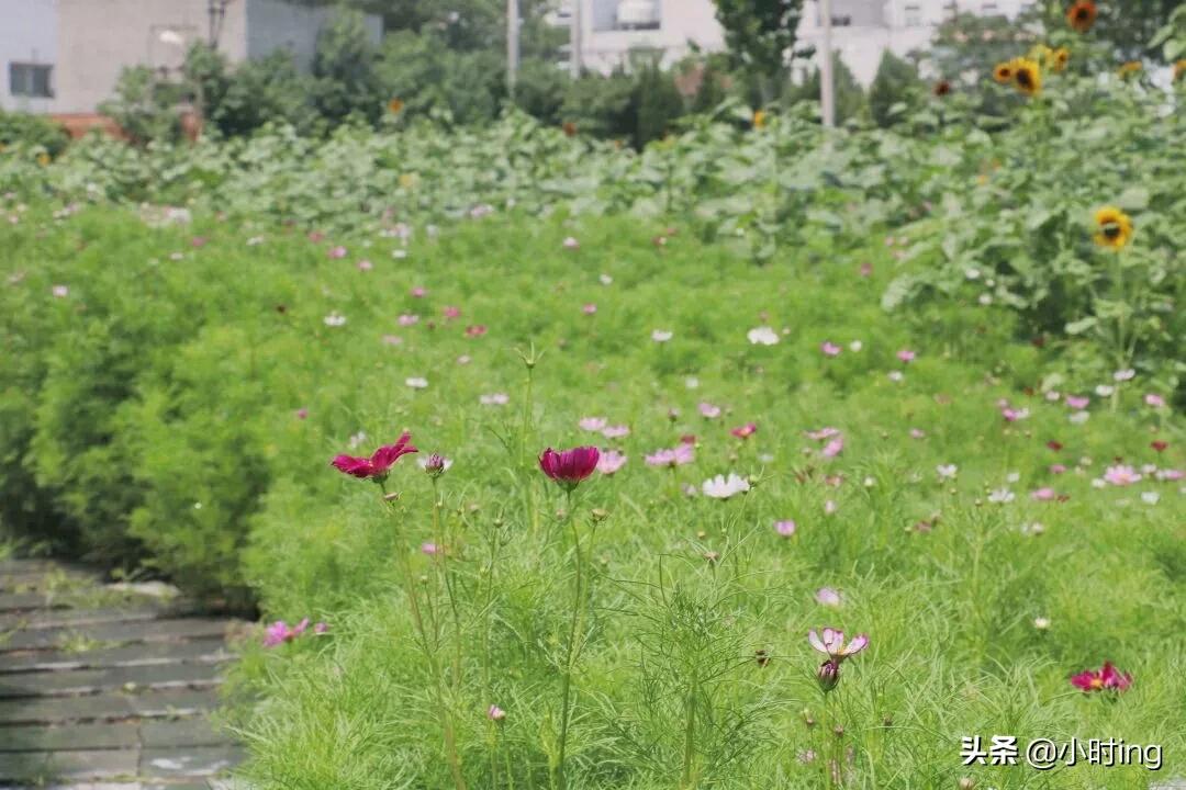 河南新源怎么样