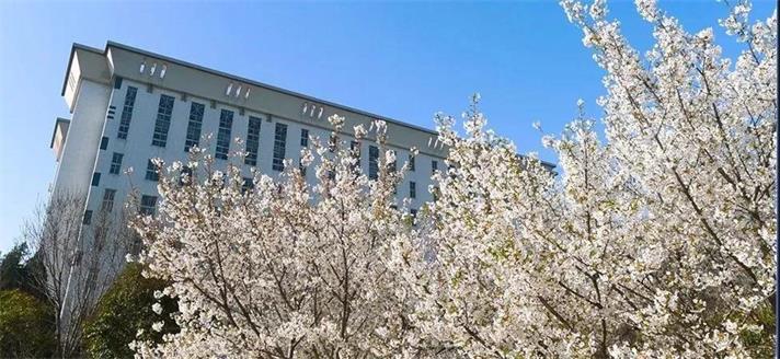 河南师范在河南怎么样
