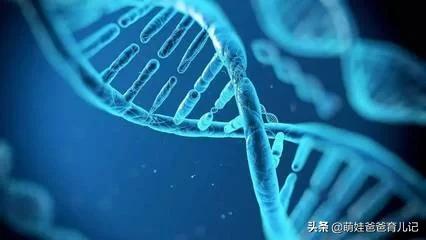 海外生活混血夫妻视频，海外生活混血夫妻视频大全