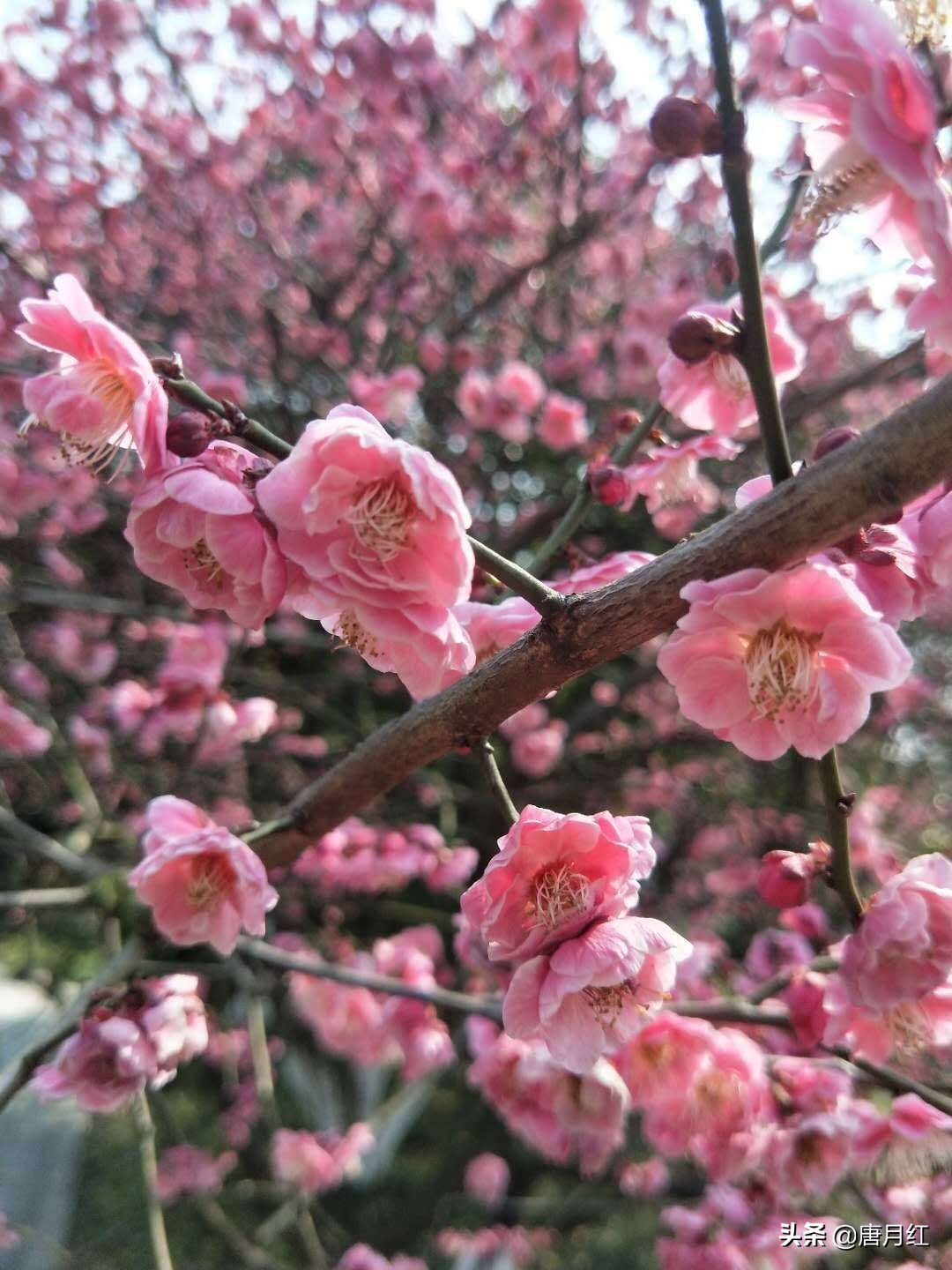 摆脱手机摆脱手机被监控的方法 摆脱手机摆脱手机被监控的方法