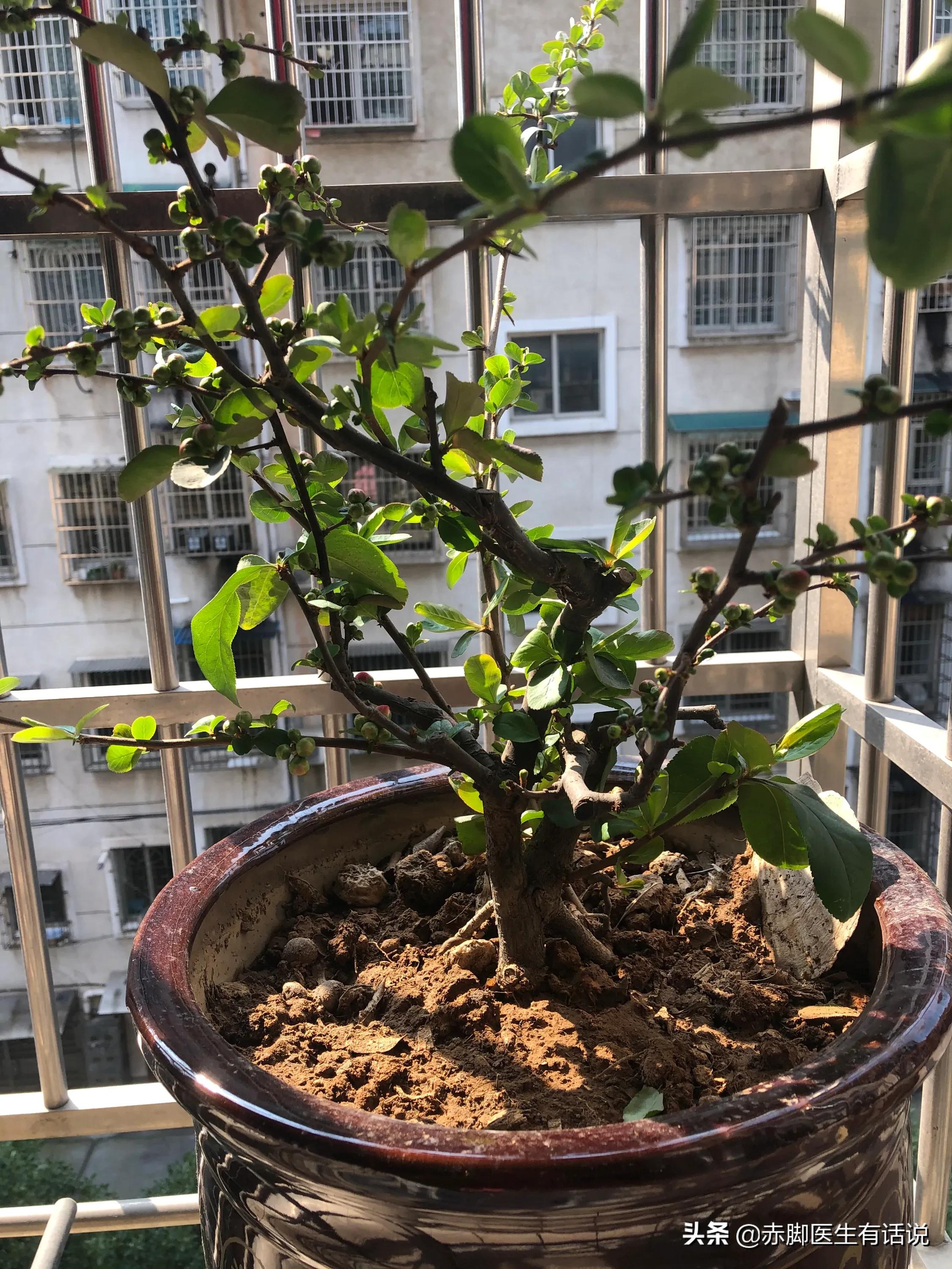 无锡市哪里疫情严重些啊