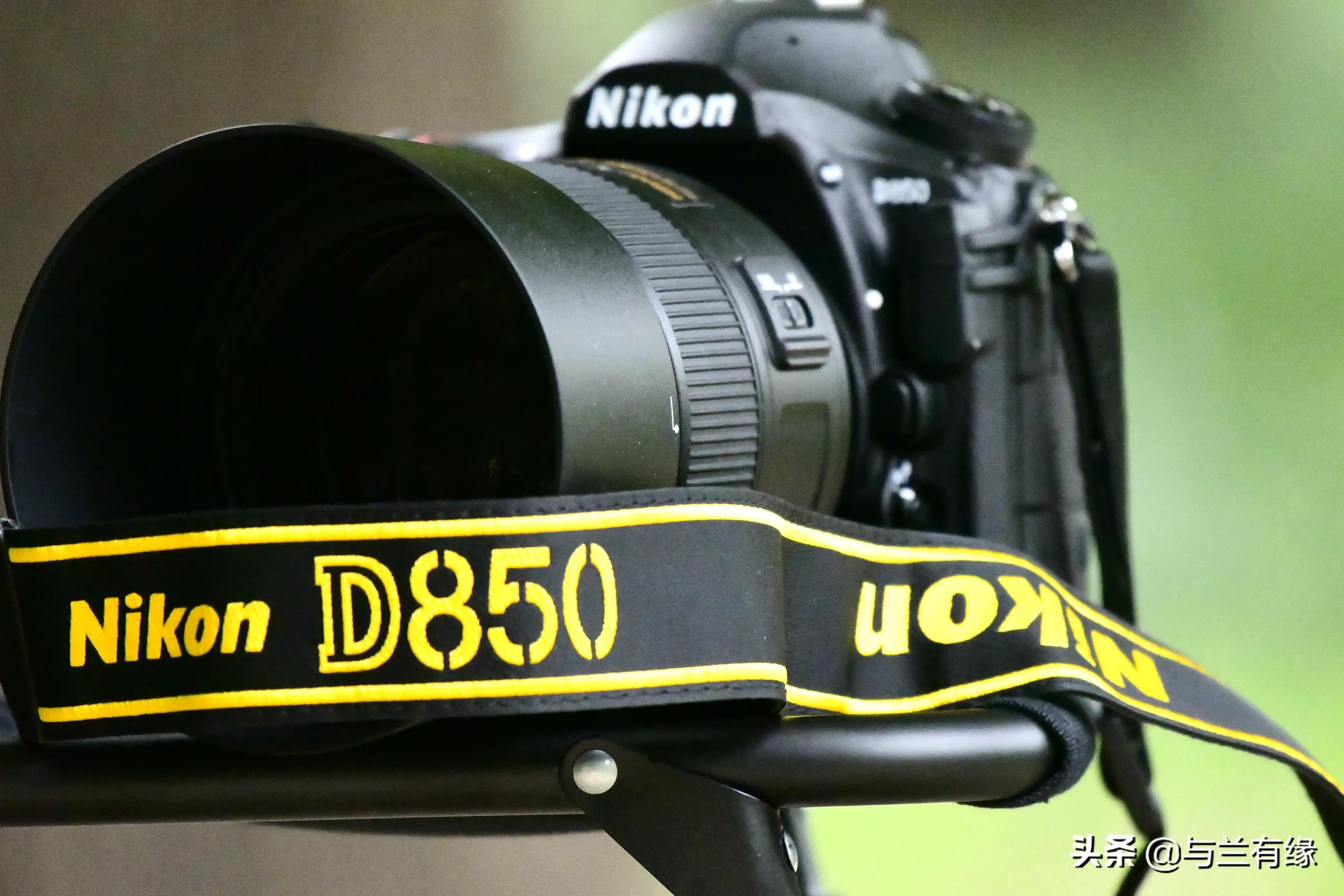 尼康d850(尼康d850深度评测?) 尼康d850(尼康d850深度评测?)