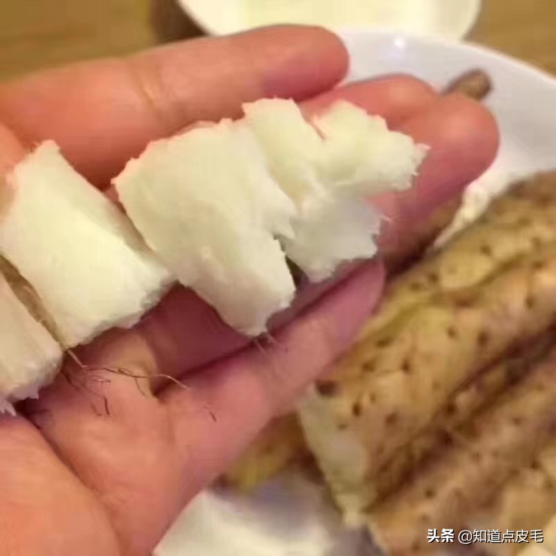 修武在河南哪个地区