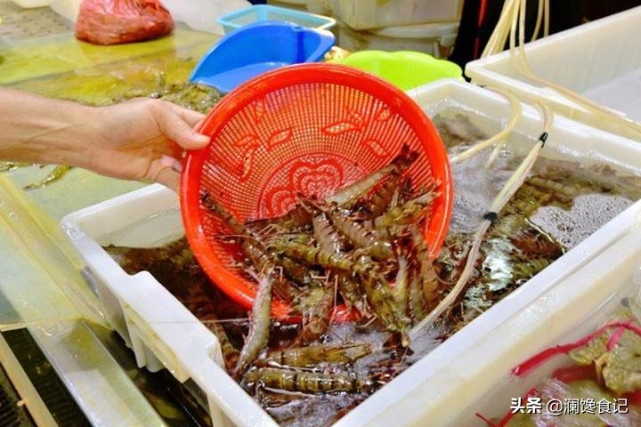海外生活 抓海鲜视频，海外生活 抓海鲜视频大全