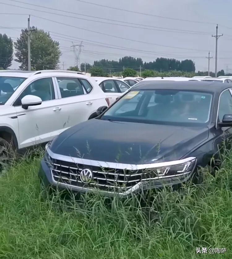 大众最新款车